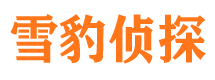 平原侦探公司